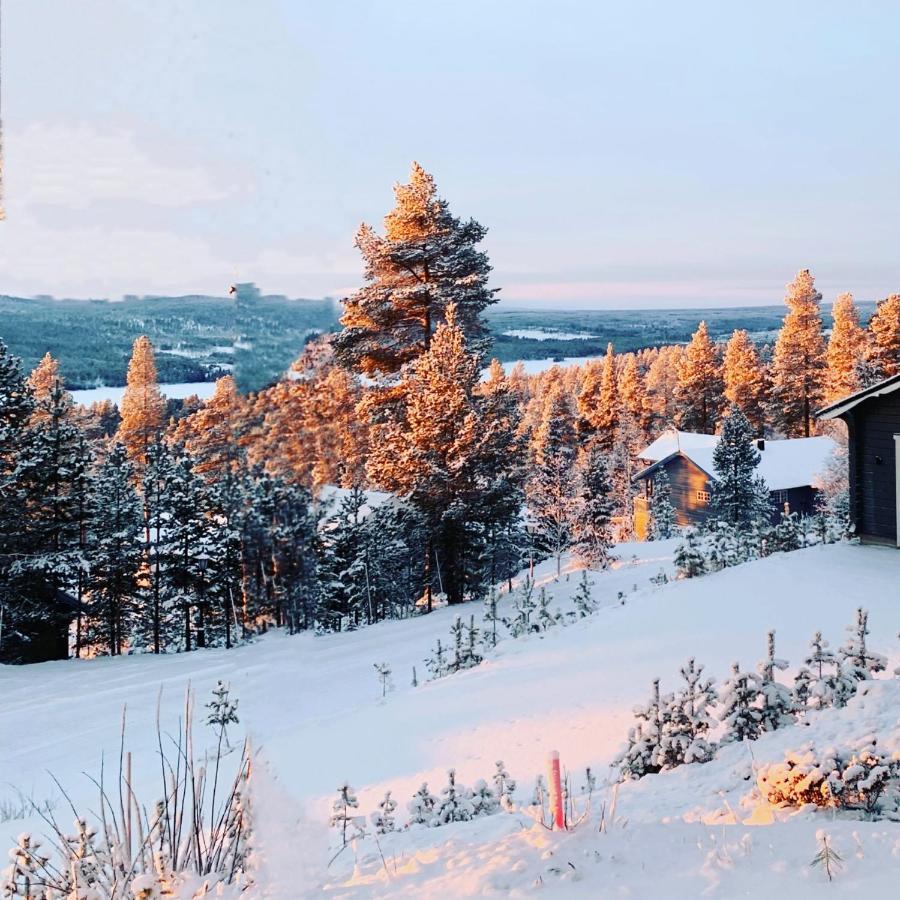 1125 Fjaellstugan Lofsdalen Εξωτερικό φωτογραφία