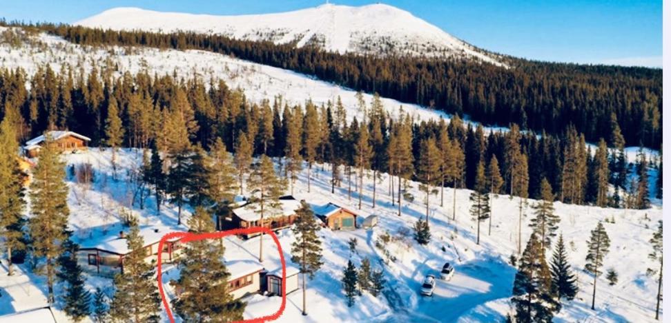 1125 Fjaellstugan Lofsdalen Εξωτερικό φωτογραφία