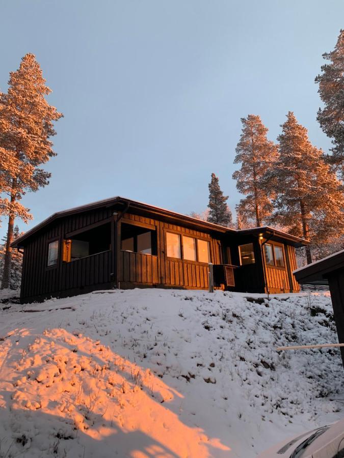 1125 Fjaellstugan Lofsdalen Εξωτερικό φωτογραφία