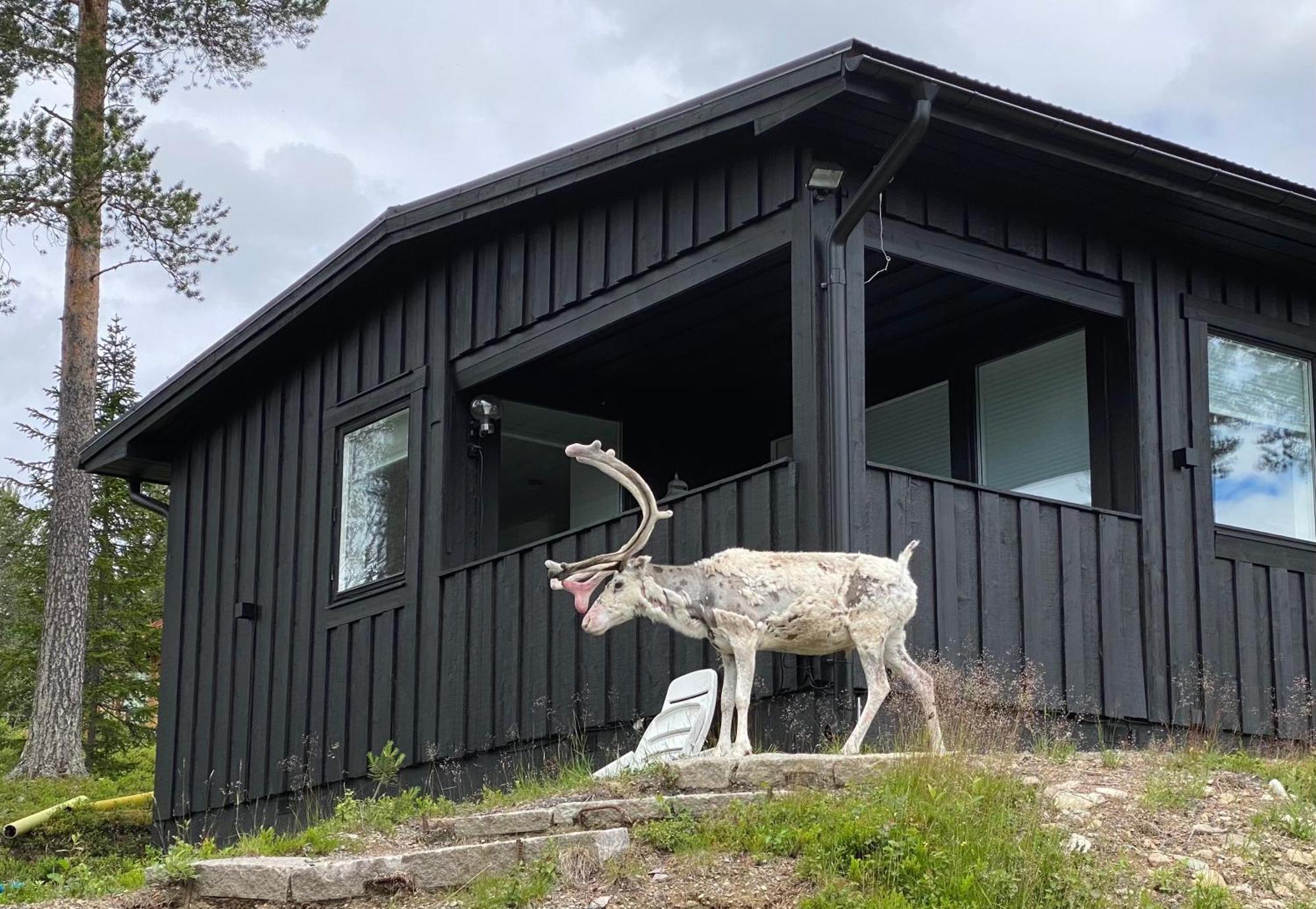 1125 Fjaellstugan Lofsdalen Εξωτερικό φωτογραφία